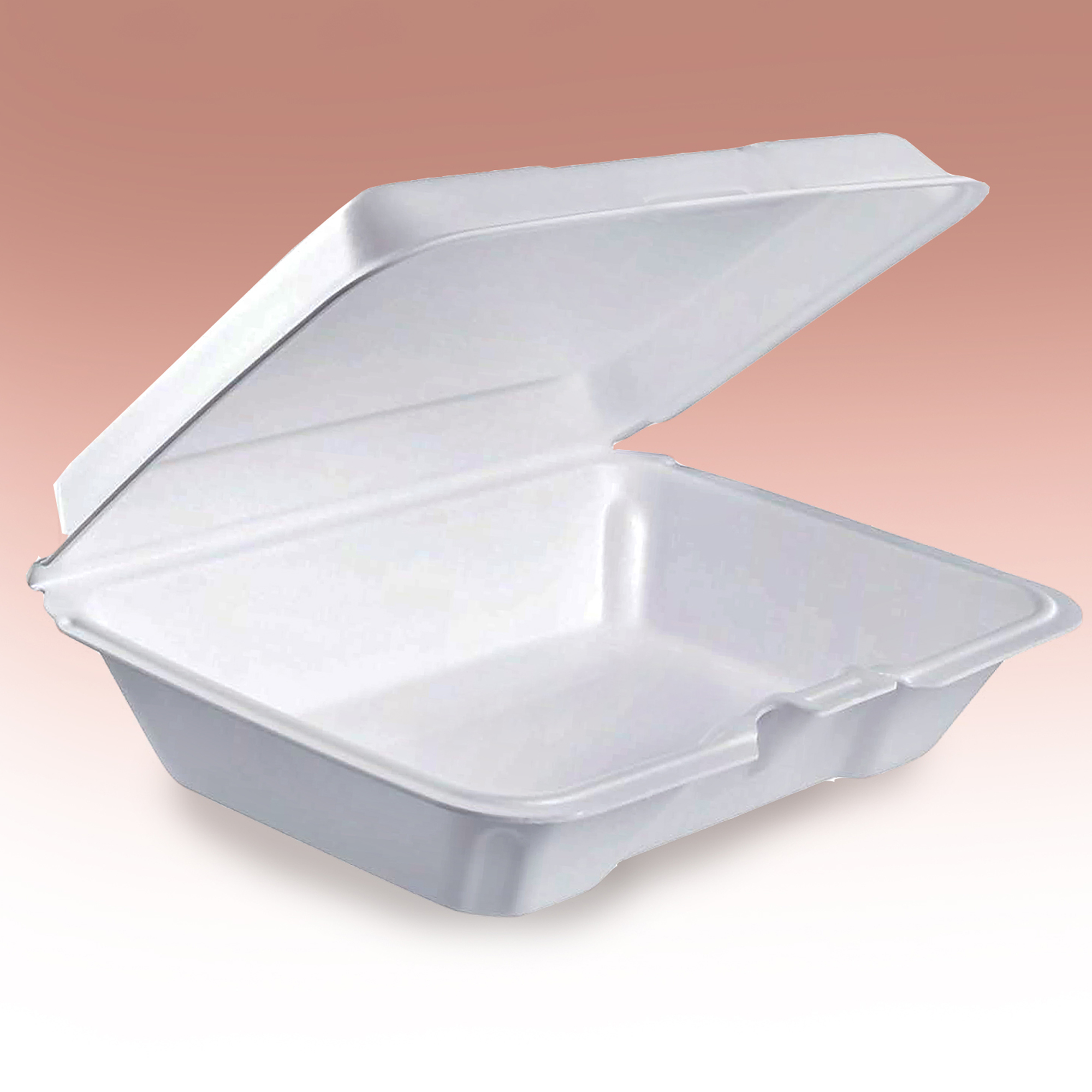 rectangular White Foam Sandwich Hinged Lid Containers