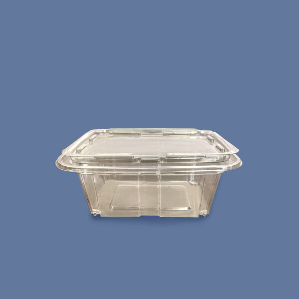 12 oz Rpet Clear Hinged Lid Deli Container