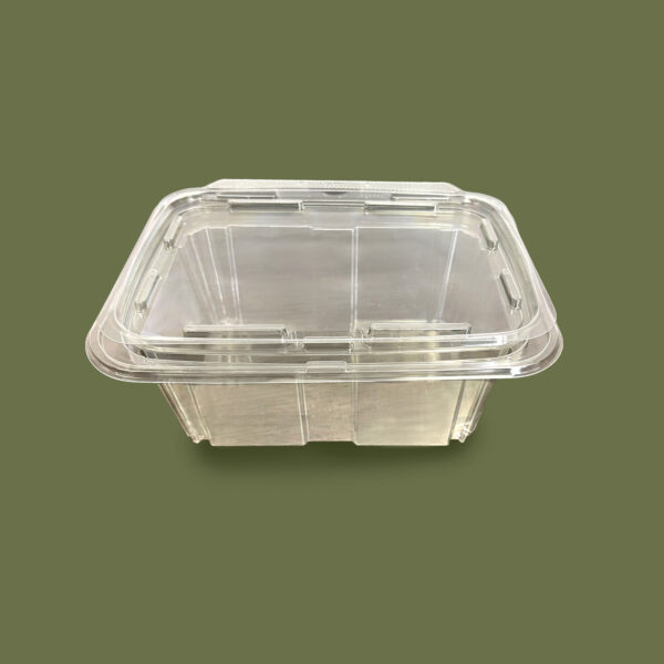 16 oz Clear Tamper Evident Container