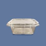 24 oz Rpet Clear Hinged Lid Deli Container