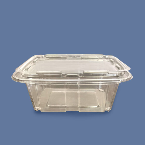 32 oz Rpet Clear Hinged Lid Deli Container