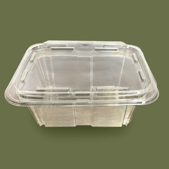 48 oz Clear Tamper Evident Container - Continental Paper & Packaging