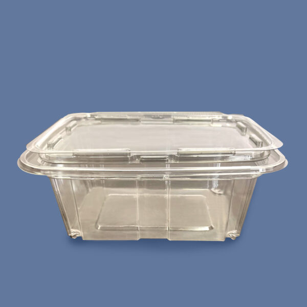 48 oz Rpet Clear Hinged Lid Deli Container